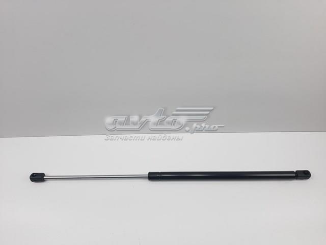 Амортизатор двері задньої 74820S5SE01 SENSEN