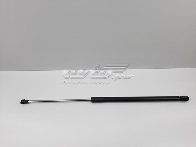 Амортизатор задньої ляди 817701H010 SENSEN