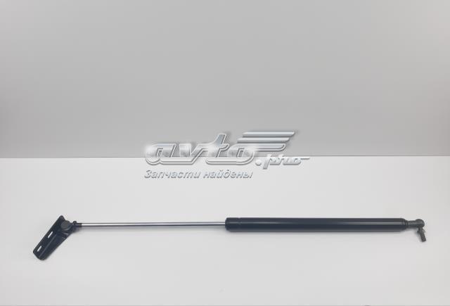 Амортизатор двері 3/5-ї задньої 8185060B10 SENSEN
