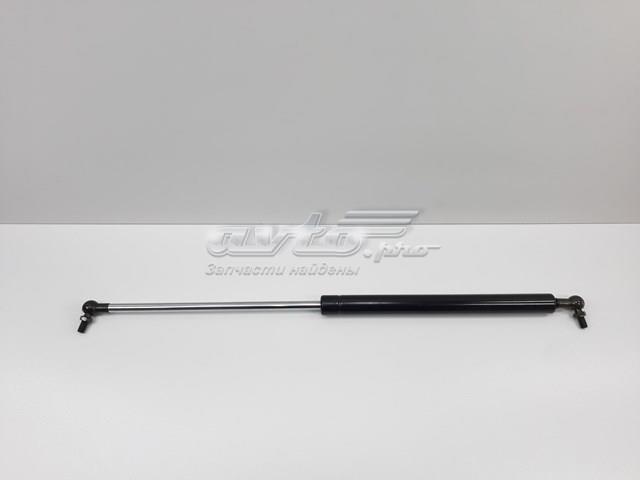 Амортизатор багажника лівий 904528F825 SENSEN