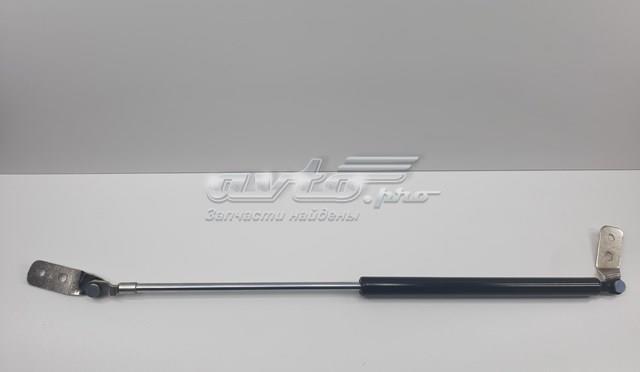 Амортизатор двері 3/5-ї задньої GE4T63620C SENSEN