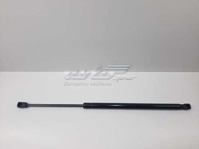 Амортизатор задньої ляди S13284105 SENSEN