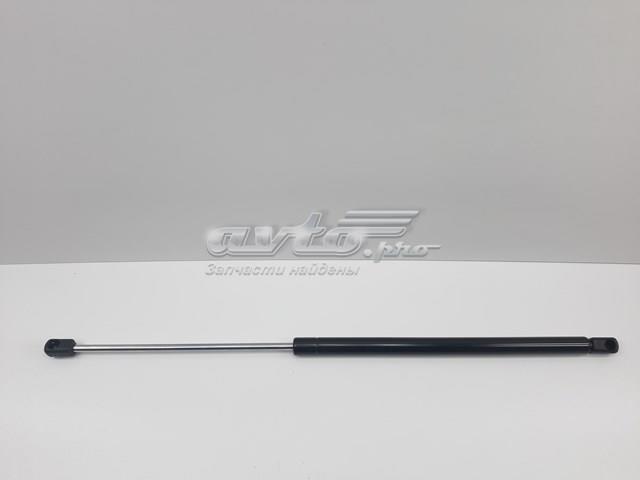 Амортизатор двері п'ятої S2039800164 SENSEN