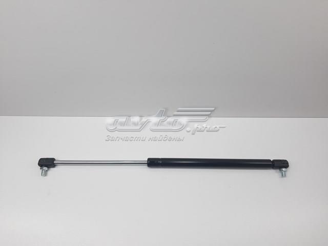 Амортизатор двері задньої S21128231010 SENSEN