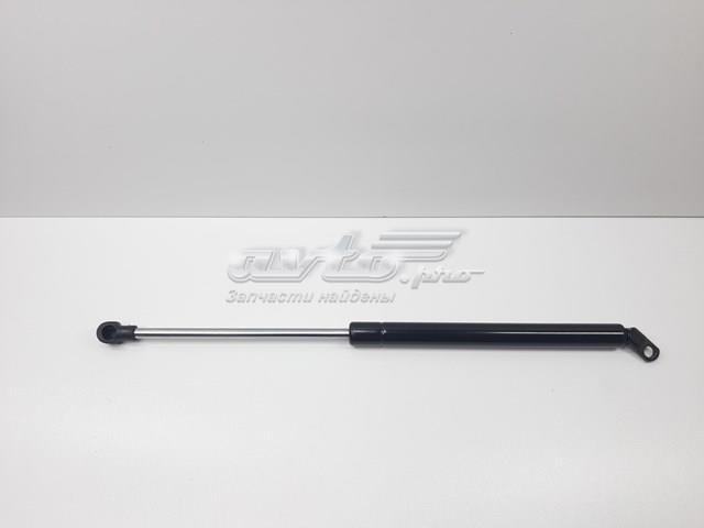 Амортизатор багажника лівий S2207500136 SENSEN