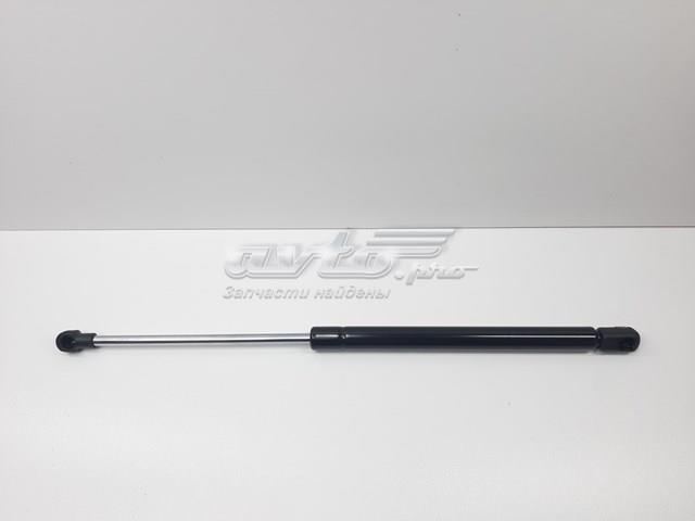 Амортизатор ляди S51247060622 SENSEN