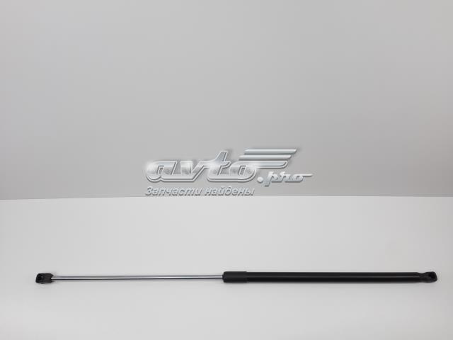 Амортизатор під капот S534400W131 SENSEN