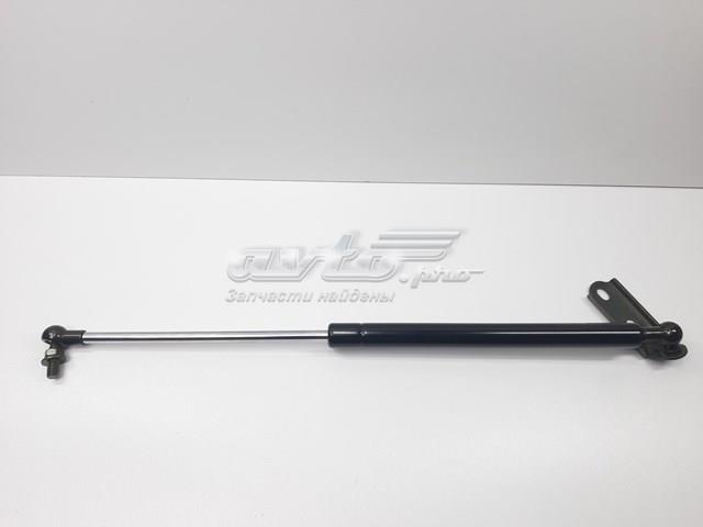 Упор капота S5344049065 SENSEN