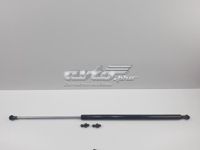 Амортизатор під капот S5344069085 SENSEN