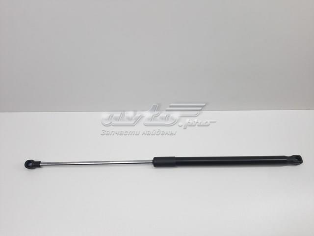 Амортизатор під капот S534500W170 SENSEN