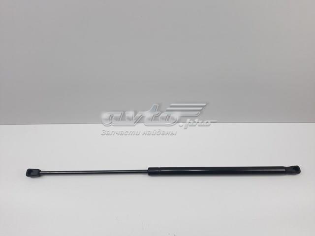 Амортизатор капота S55113748AA SENSEN