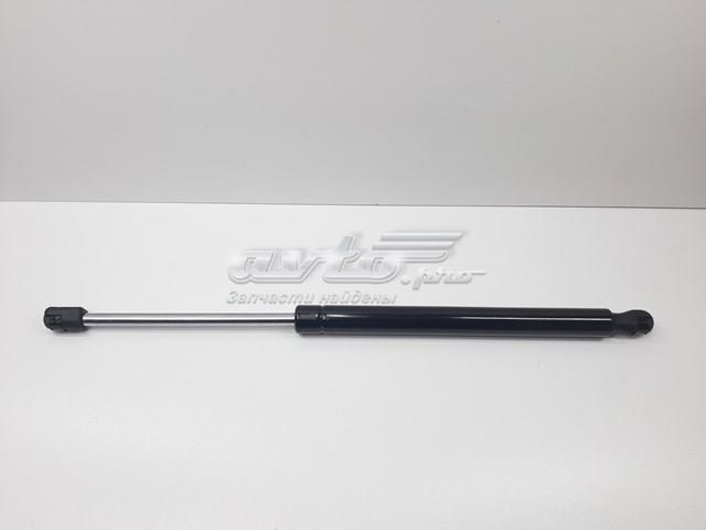 Амортизатор двері задньої S5K6827550B SENSEN