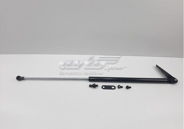 Амортизатор двері п'ятої S63269AG001 SENSEN