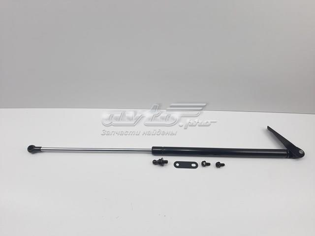 Амортизатор багажника лівий S63269AG011 SENSEN