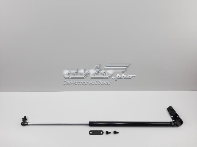 Амортизатор багажника лівий S63269AJ010 SENSEN