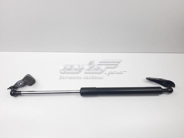 Амортизатор двері п'ятої S6895044070 SENSEN