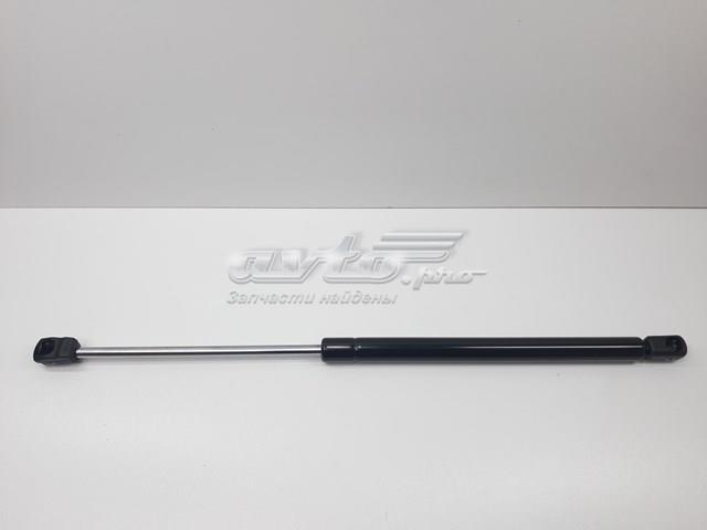 Амортизатор капота газовий S811602B010 SENSEN