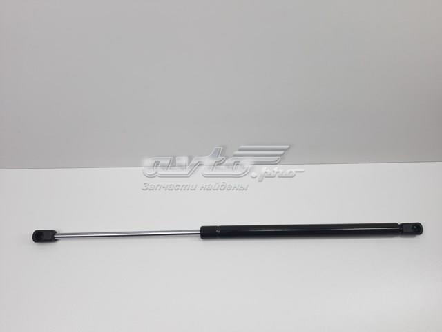 Амортизатор кришки багажника S817702L200 SENSEN