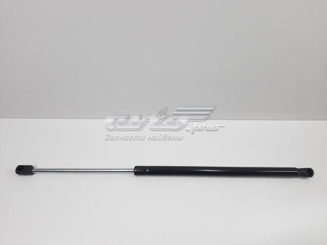 Амортизатор двері п'ятої S8200735264 SENSEN
