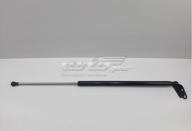 Амортизатор двері задньої S90450JG400 SENSEN