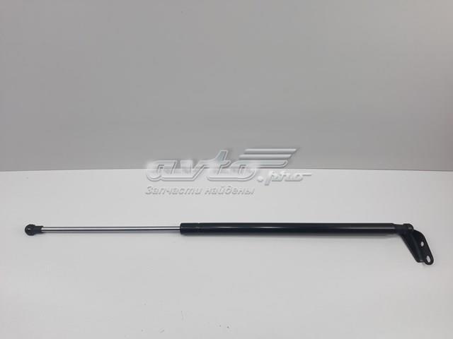 Амортизатор двері задньої S90451JG400 SENSEN