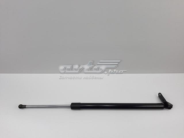 Амортизатор ляди SEG2162620C SENSEN