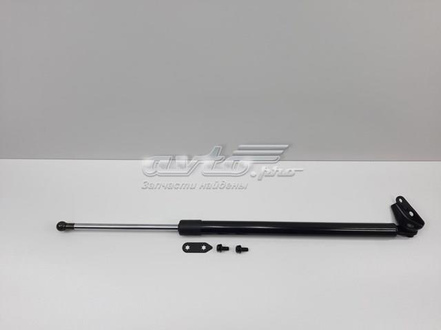 Амортизатор двері багажника SEG2163620C SENSEN