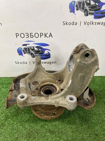 Цапфа поворотного кулака 3C0407253F VAG