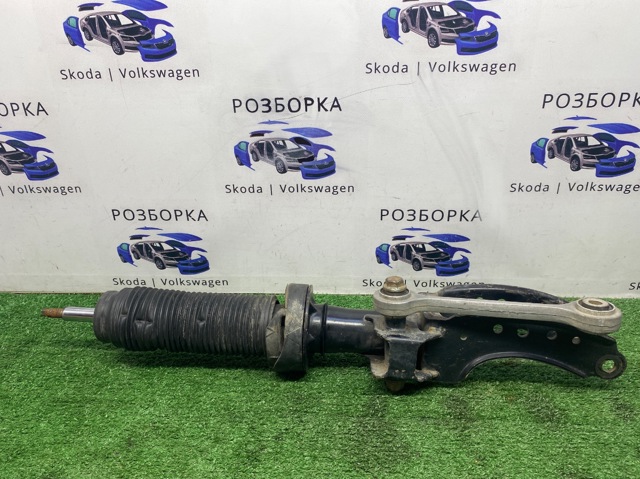 Амортизатор передньої підвіски, лівий 7L6413031L VAG