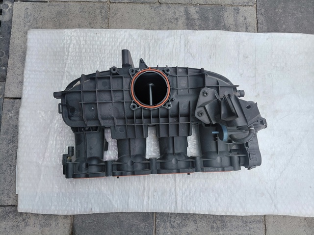 Колектор впускний 06L133201FR VAG