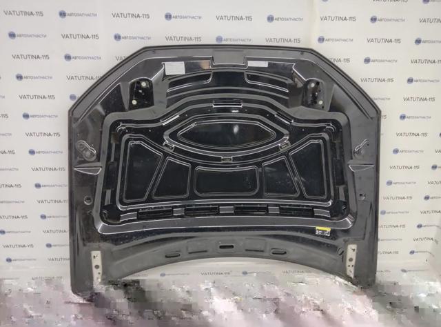 Капот 4M0823029A VAG