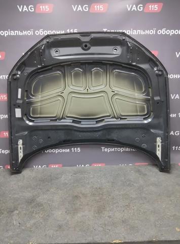 Капот 8W0823029A VAG