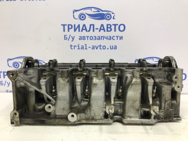 Головка циліндрів 110421615R NISSAN