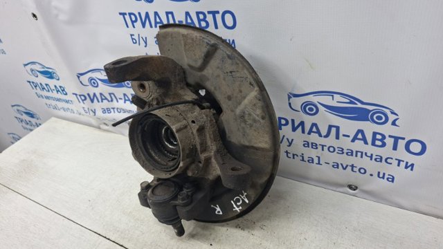 Цапфа передні праві 4122109003 SSANG YONG
