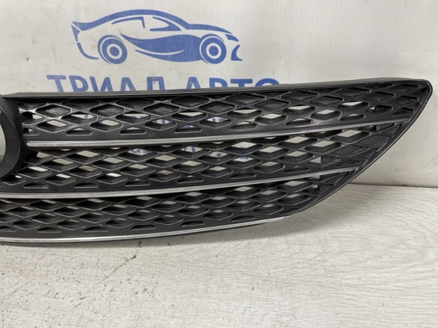 Захисна решітка радіатора 5310133090 TOYOTA