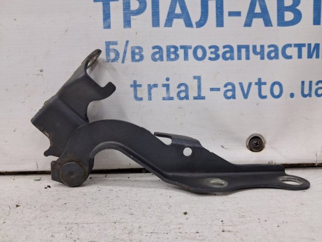 Завіса капота права 5341005060 TOYOTA