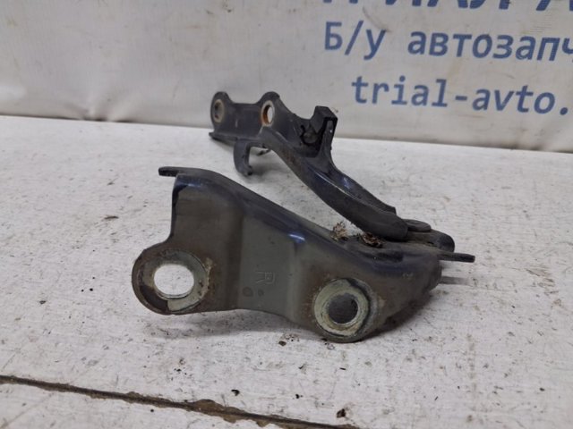 Петля капота, права 5341035060 TOYOTA
