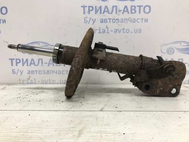 Амортизатори передні 543020008R RENAULT