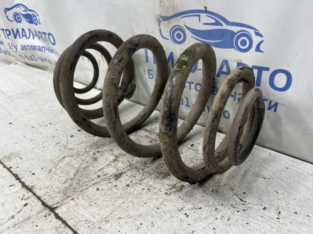 Пружини задні 550202870R RENAULT