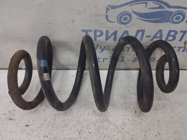Пружини задні 55020JD04A NISSAN