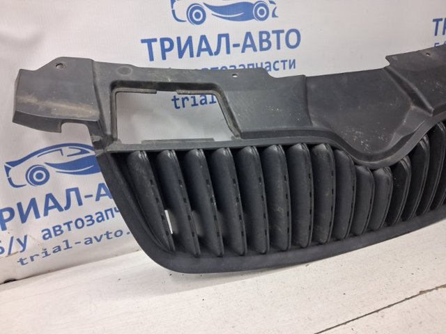 Захисна решітка радіатора 5J08536689B9 VAG