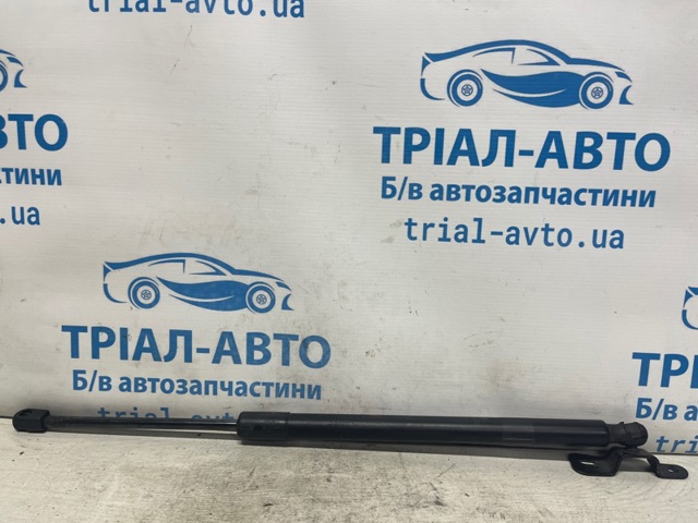 Амортизатор задньої ляди 68250004AC CHRYSLER