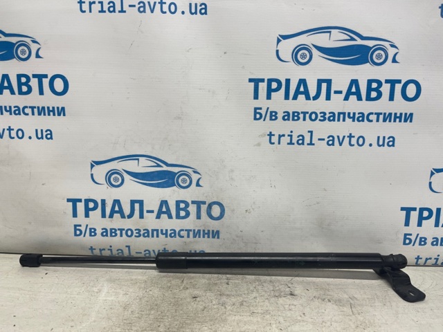 Амортизатор двері задньої 68250005AC CHRYSLER