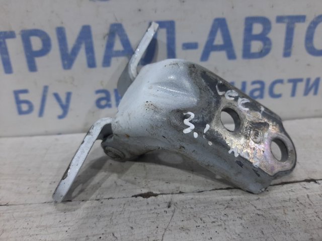 Завіса дверей задніх лівих 793102H000 HYUNDAI