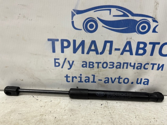 Ручка відкриття капота 811812B000WK HYUNDAI