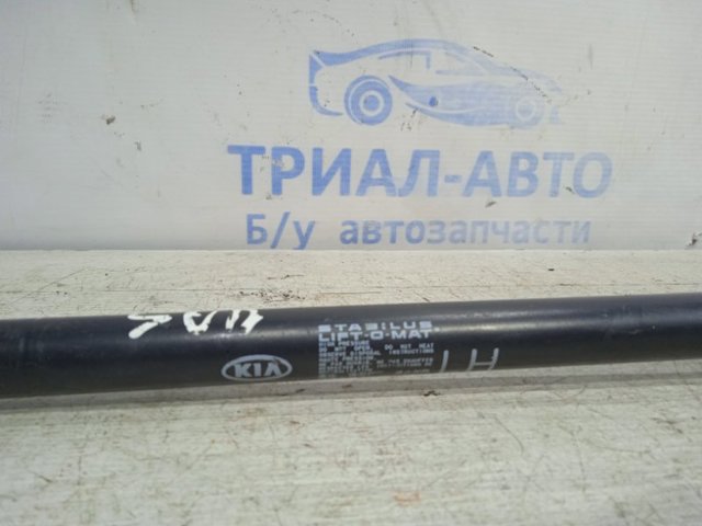 Амортизатор двері 3/5-ї задньої 817702P000 HYUNDAI