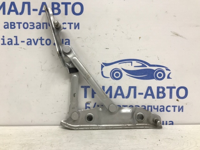 Петля кришки багажника 844001MA0A NISSAN