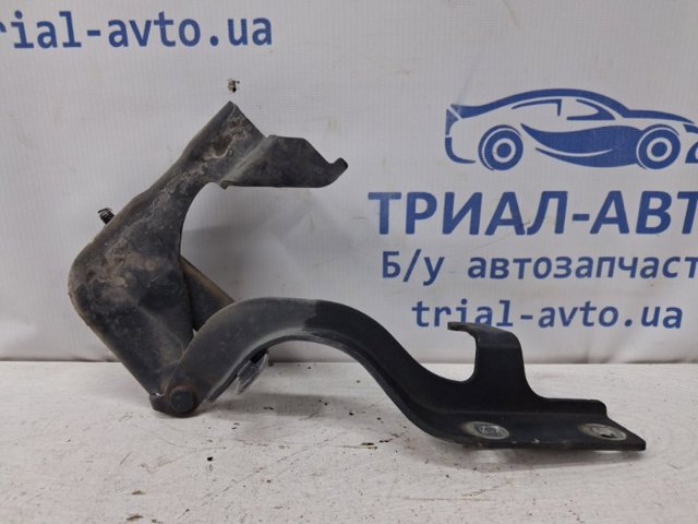 Завіса капота права 96624417 GM