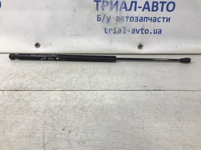 Амортизатор двері 3/5-ї задньої 96624626 GM