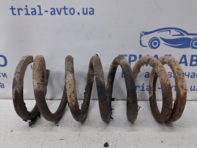 Пружини задні 96626456 GM